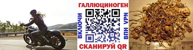 Псилоцибиновые грибы мицелий Азнакаево