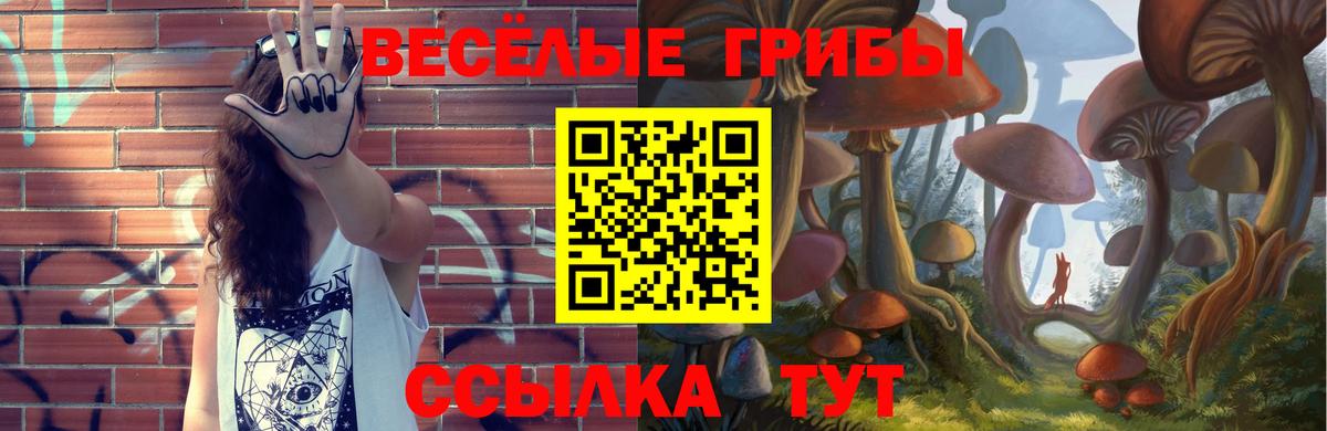 Галлюциногенные грибы Psilocybe Азнакаево